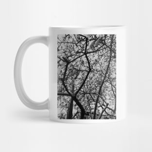 Black and White Flowers, Photography Mug